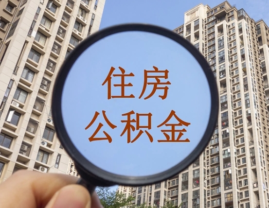 樟树退休后查不到公积金明细了吗（退休后公积金查询不到原因）